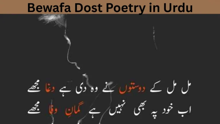 Bewafa Dost Poetry in Urdu