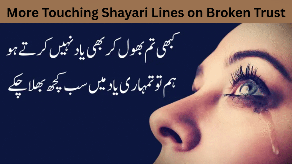 More Touching Shayari Lines on Broken Trust