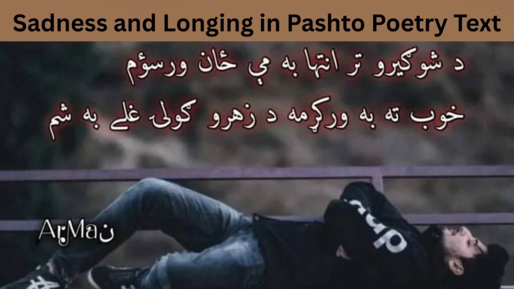 Sadness and Longing in Pashto Poetry Text