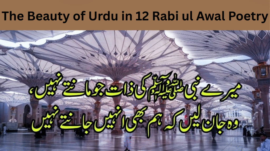 The Beauty of Urdu in 12 Rabi ul Awal Poetry