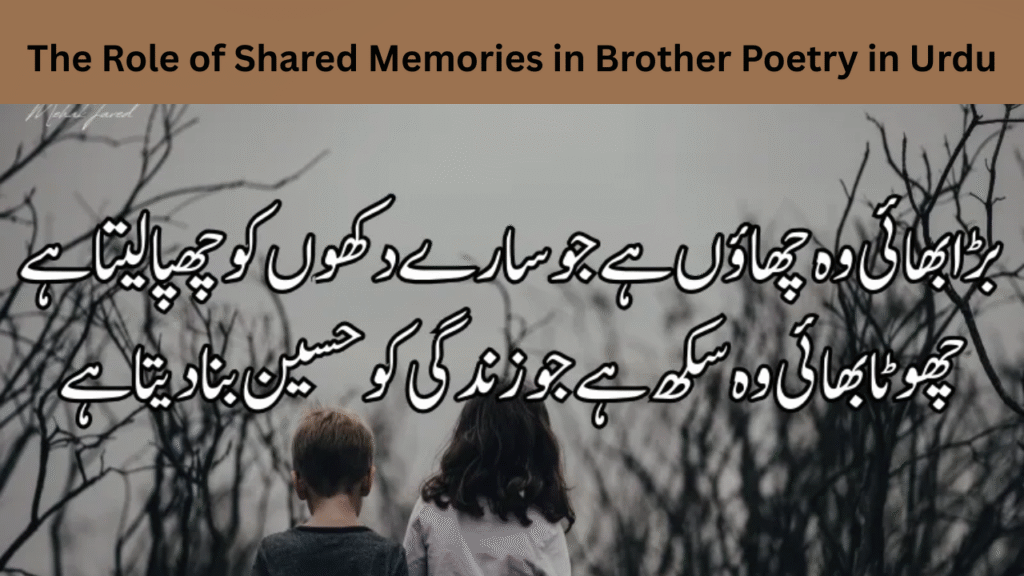 The Role of Shared Memories in Brother Poetry in Urdu
