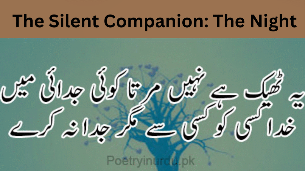 The Silent Companion The Night