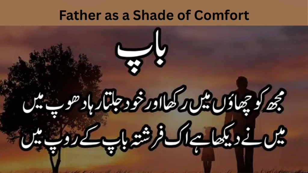 Father as a Shade of Comfort