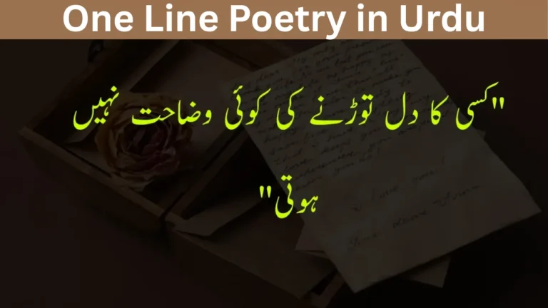 One Line Poetry in Urdu