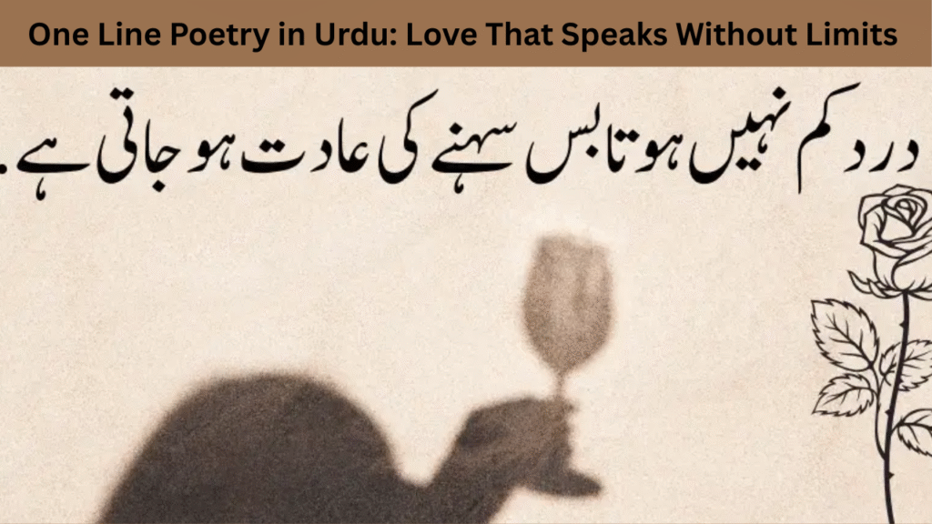 One Line Poetry in Urdu: Love That Speaks Without Limits