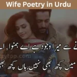Wife Poetry in Urdu