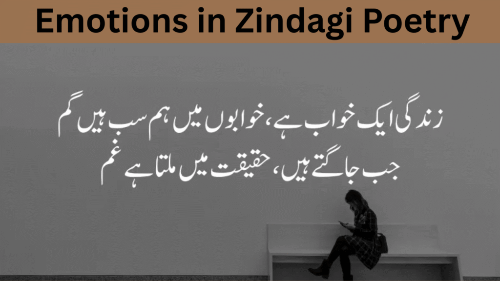 Emotions in Zindagi Poetry