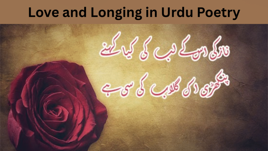 Love and Longing in Urdu Poetry