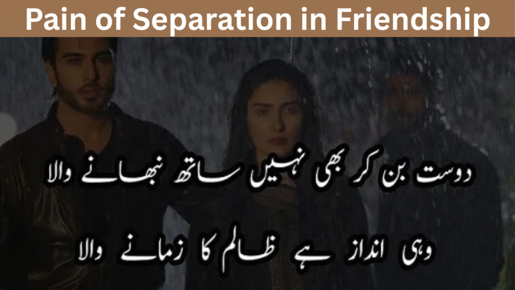 Pain of Separation in Friendship