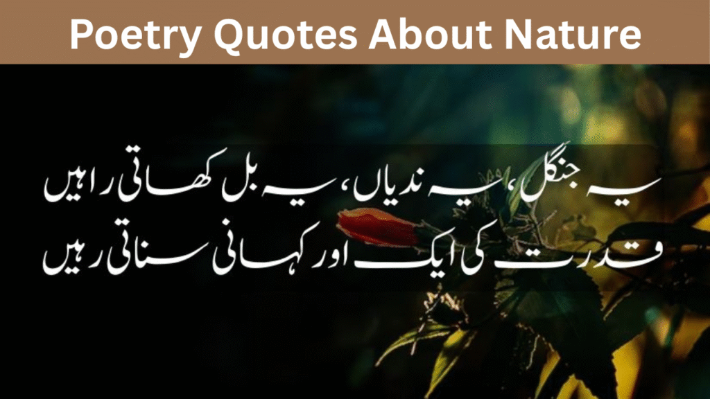 Poetry Quotes About Nature