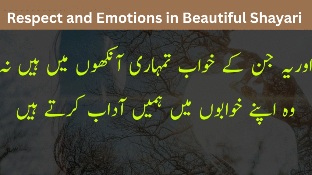 Respect and Emotions in Beautiful Shayari 