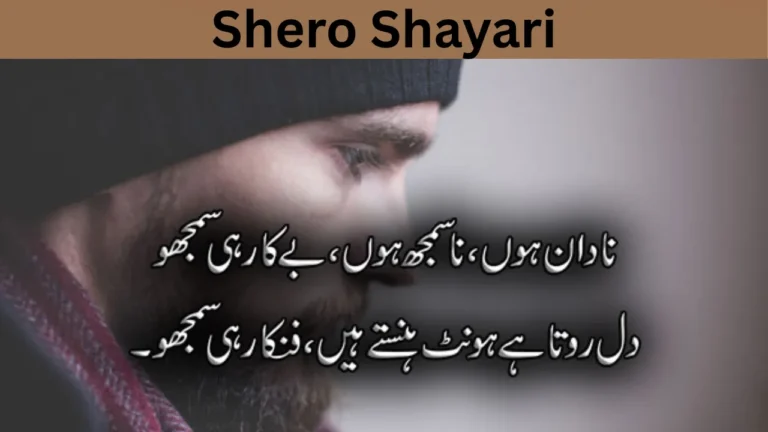 Shero Shayari