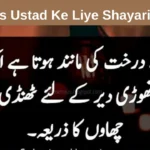 Teachers Ustad Ke Liye Shayari in Urdu