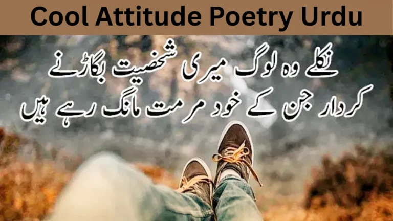 Cool Attitude Poetry Urdu