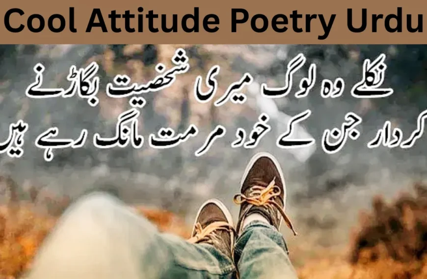 Cool Attitude Poetry Urdu