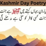Kashmir Day Poetry