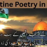 Palestine Poetry in Urdu