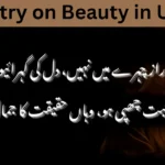 Poetry on Beauty in Urdu