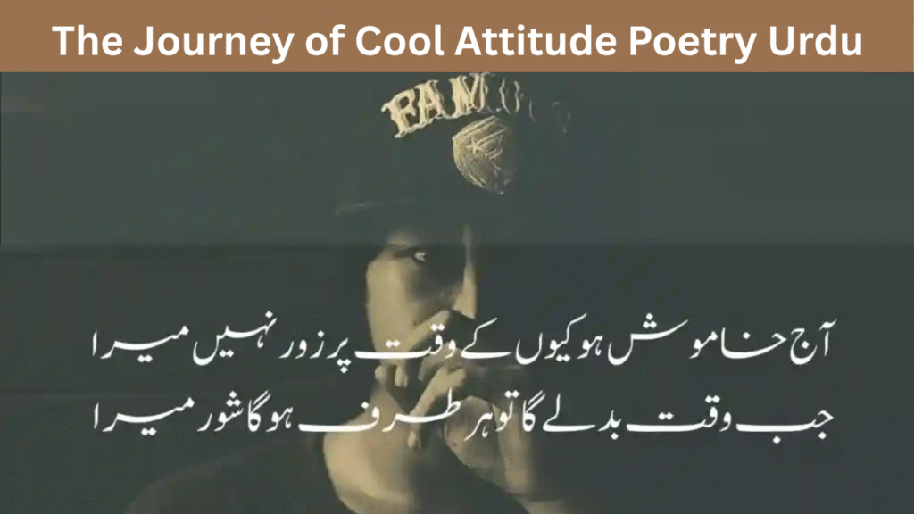 The Journey of Cool Attitude Poetry Urdu