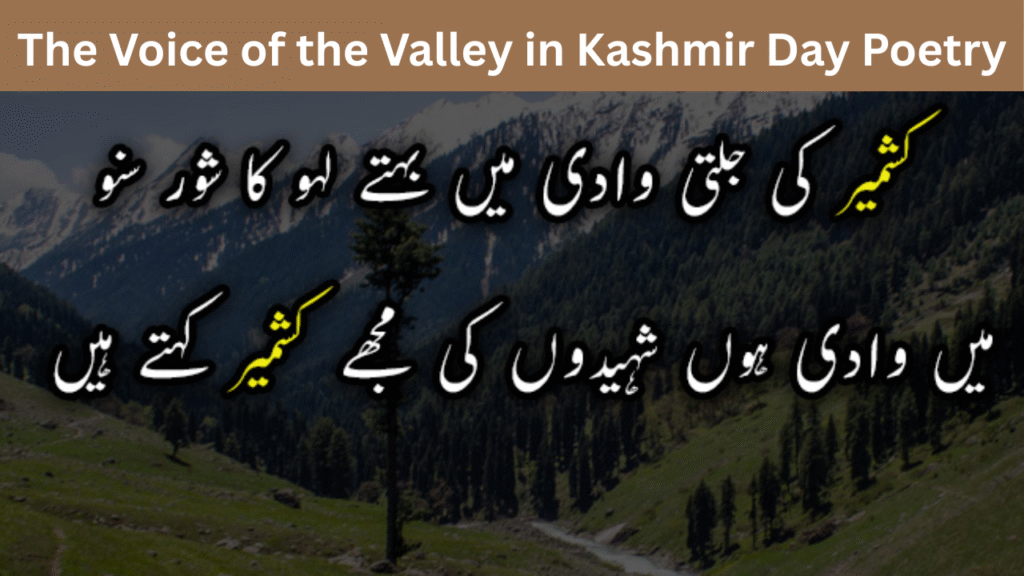 The Voice of the Valley in Kashmir Day Poetry