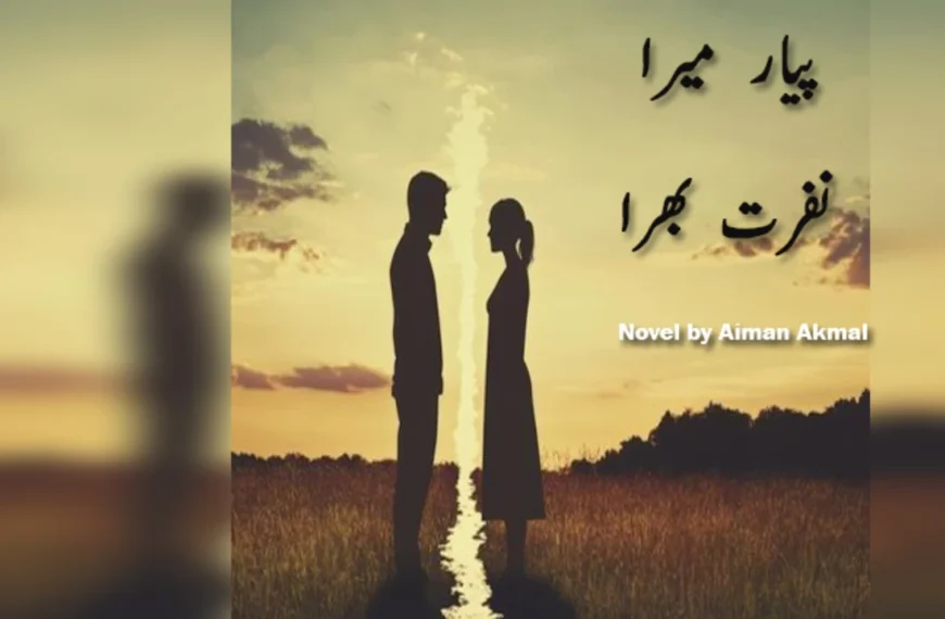 Pyar Mera Nafrat Bhara Novel