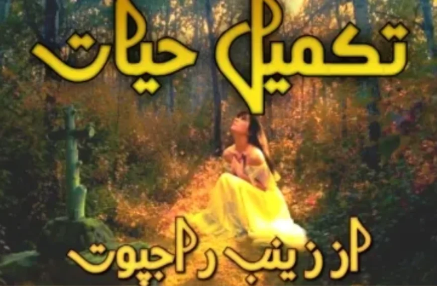 Takmeel e Hayat Novel