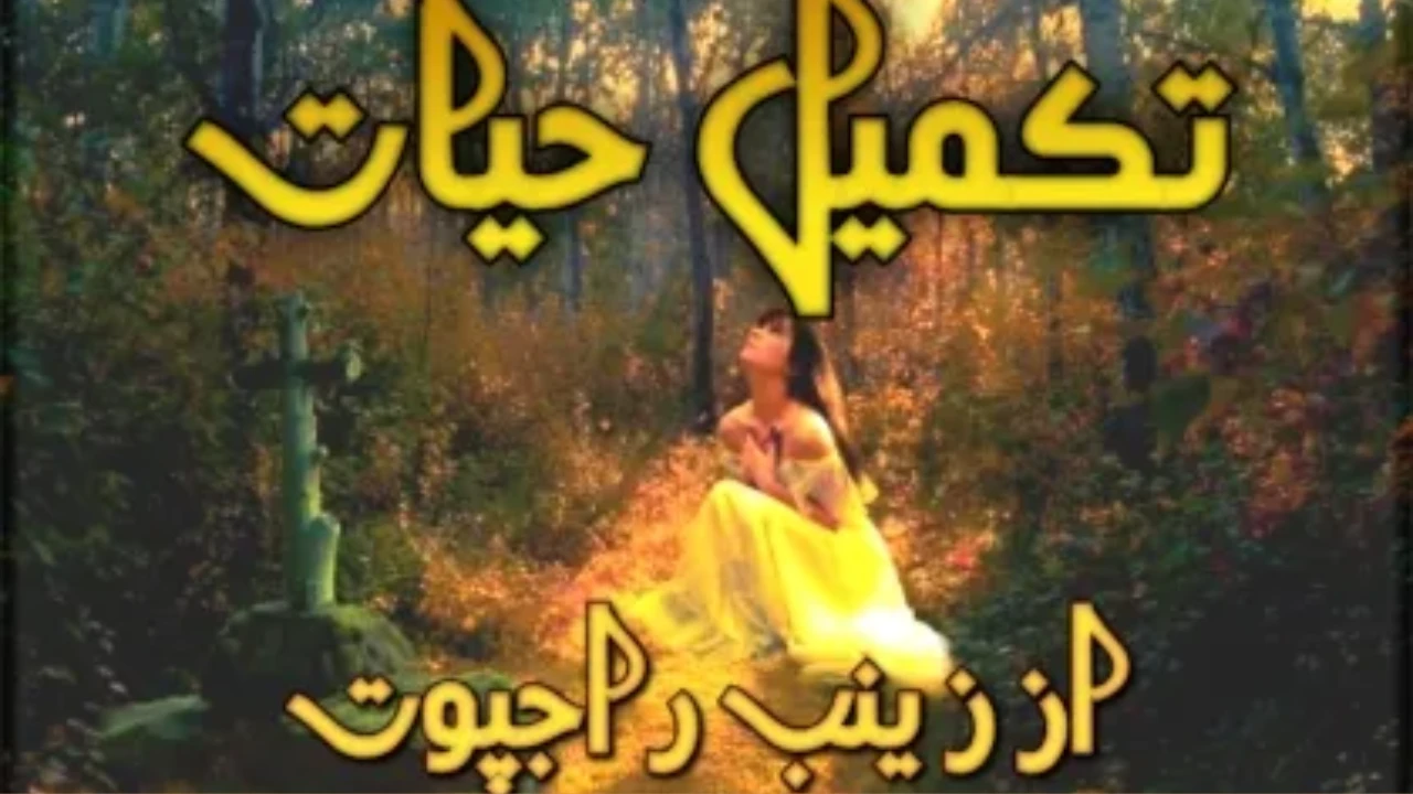 Takmeel e Hayat Novel