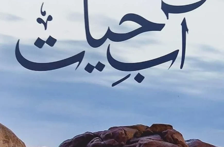 Abe Hayat Novel PDF