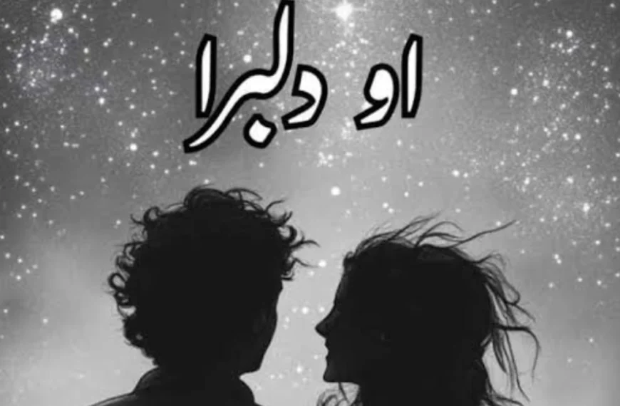 O Dilbara Novel