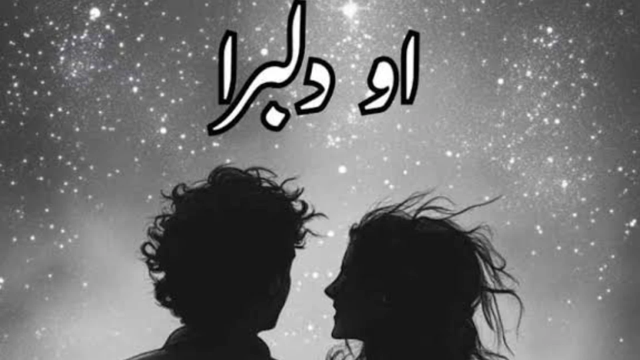 O Dilbara Novel
