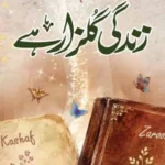 Zindagi Gulzar Hai Novel
