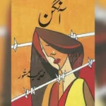 Aangan Novel