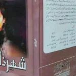 Shehr-e-Zaat Novel